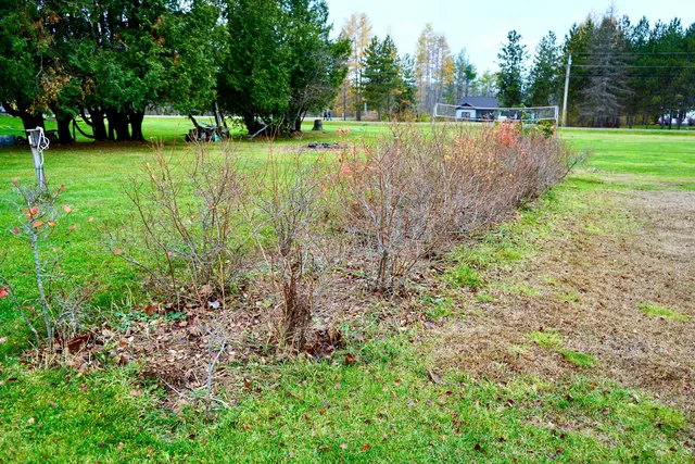 $375,000 | 448 Elm Street, Newport, ME 04953