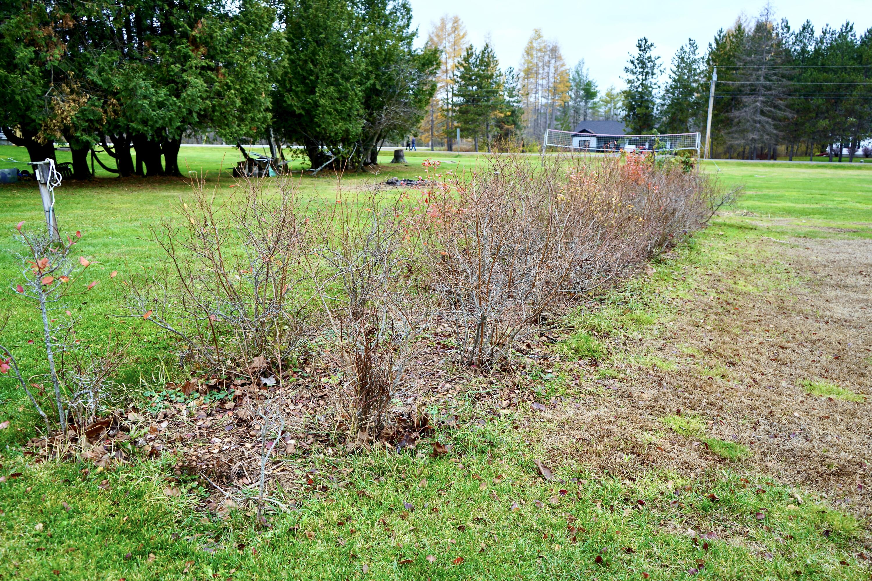 448 Elm Street Newport, ME 04953 - Photo 64 of 64 448 Elm Street Newport