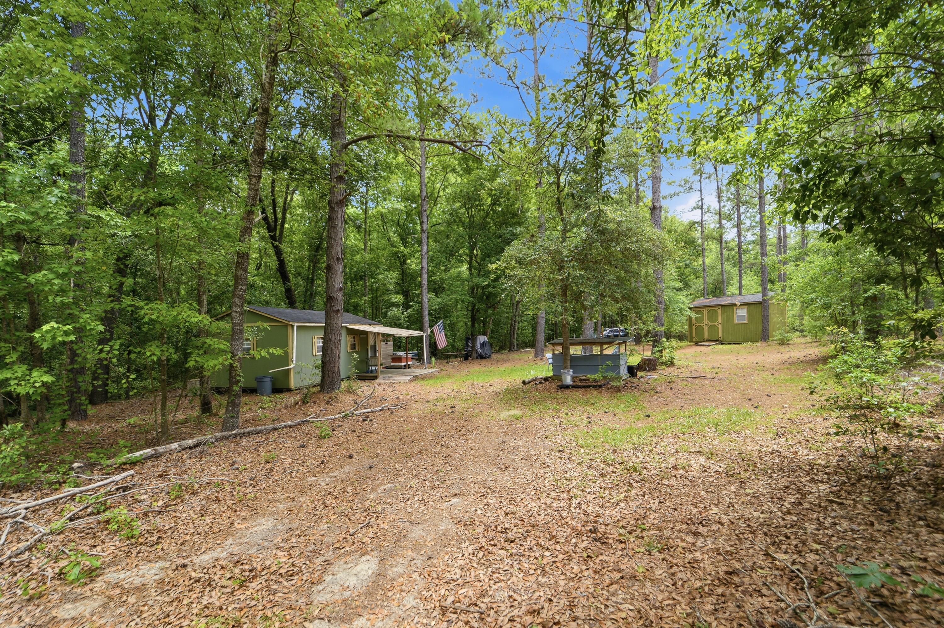 1530 Catfish Lane Manning, SC 29102 - Photo 9 of 37 wooded lot