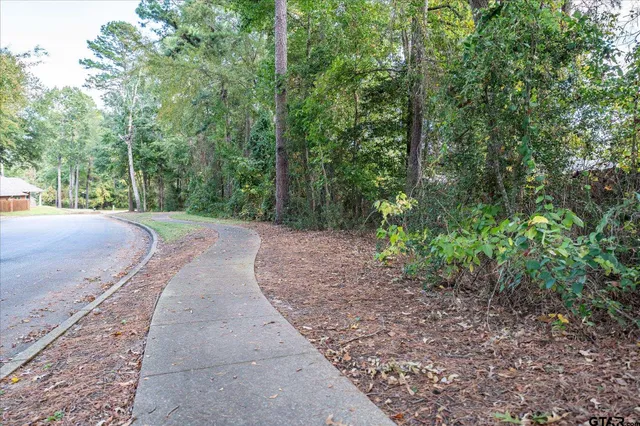 a view of a backyard with green space