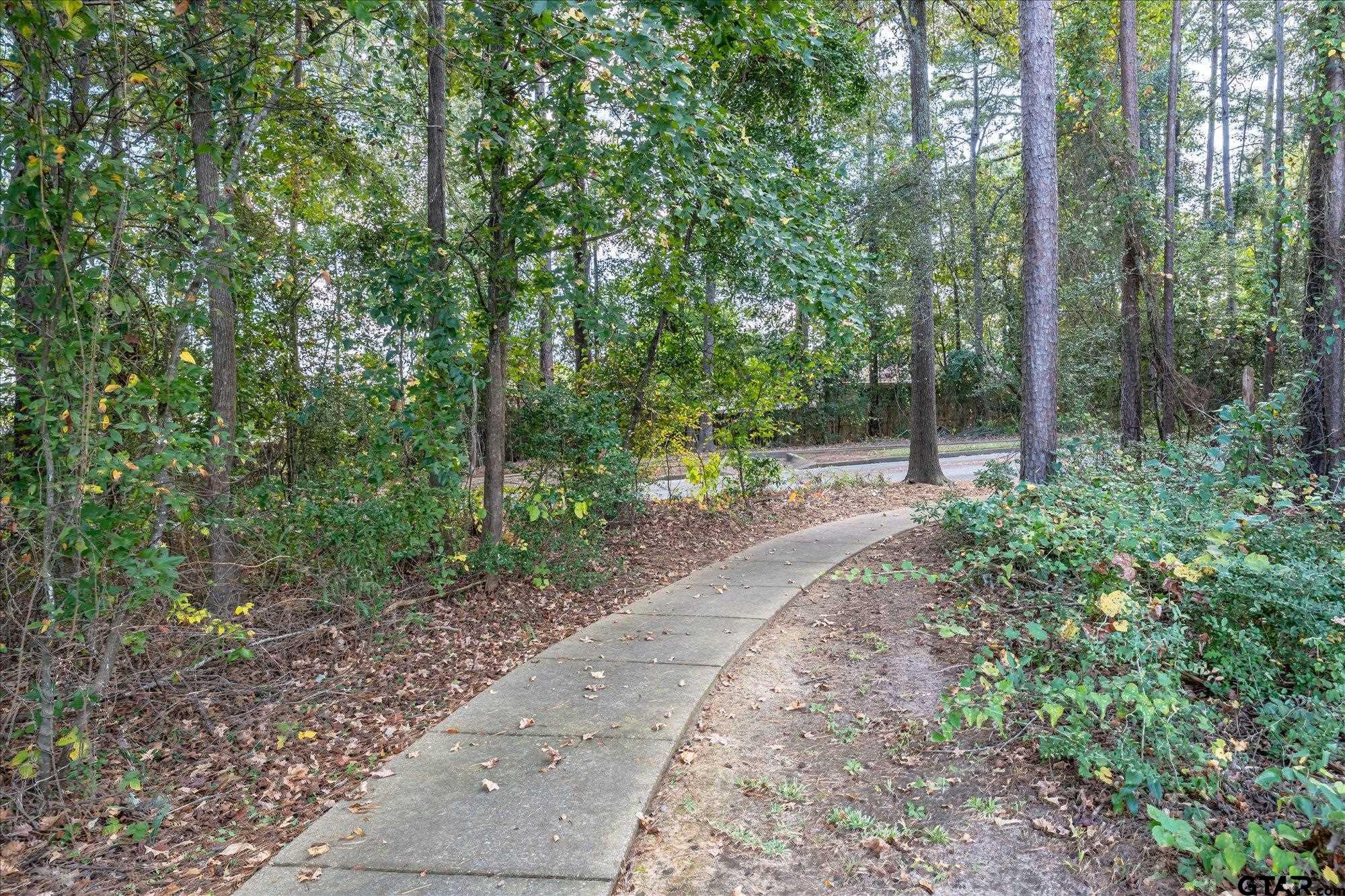 9109 Long Branch Tyler, TX 75703 - Photo 34 of 34 a backyard of a house with lots of green space