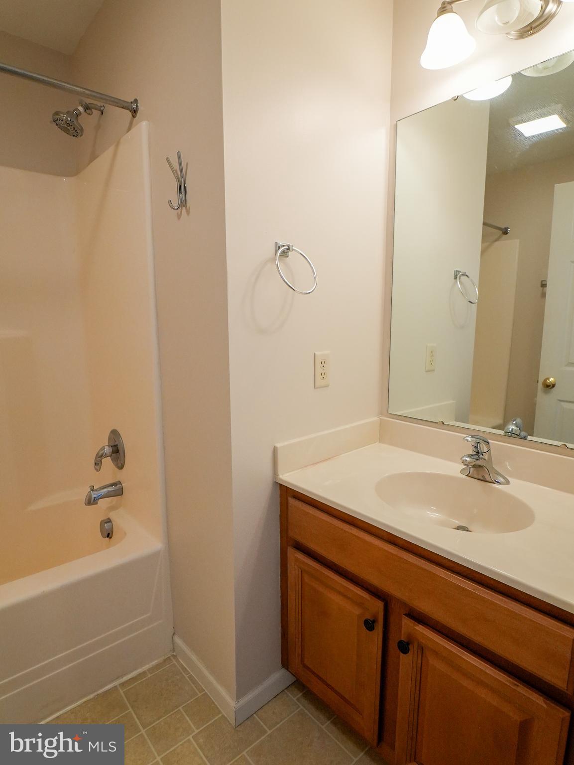 160 Mapleton Drive Harrisburg, PA 17112 - Photo 20 of 39 a bathroom with a sink and a bathtub