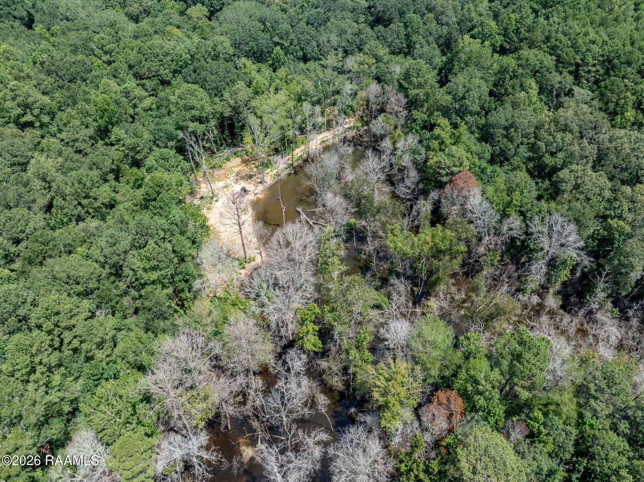 301 Crabapple Road Iota, LA 70543 - Photo 24 of 40 24-web-or-mls-DJI_20260630010205_0062_D
