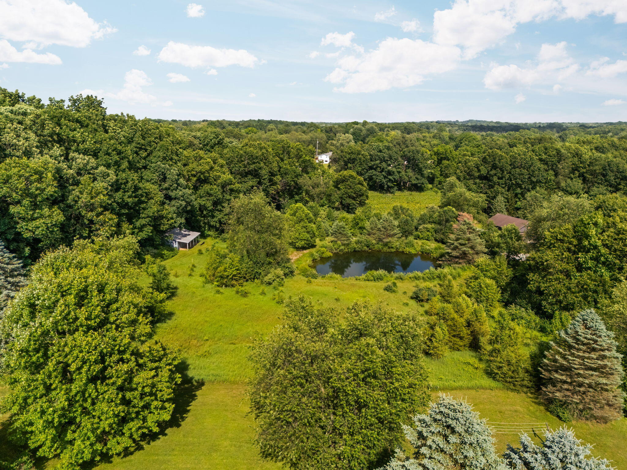10663 Hall Road Whitmore Lake, MI 48189 - Photo 50 of 69 11-web-or-mls-DJI_20260630165912_0369_D