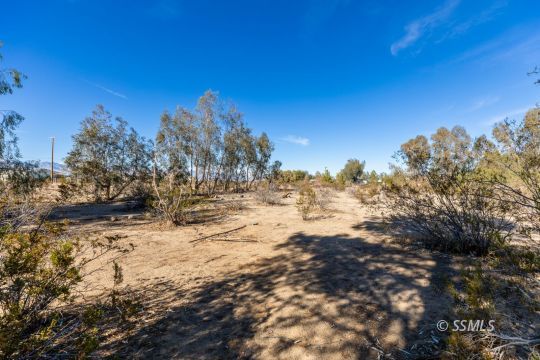 1029 Leslie Street Ridgecrest, CA 93555 - Photo 36 of 40 a view of dirt yard and mountain view