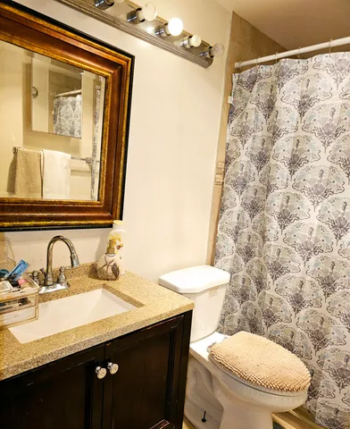 a bathroom with a sink mirror vanity and toilet