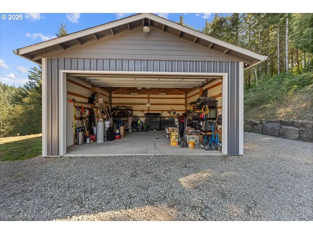 a view of a yard with plants and large trees