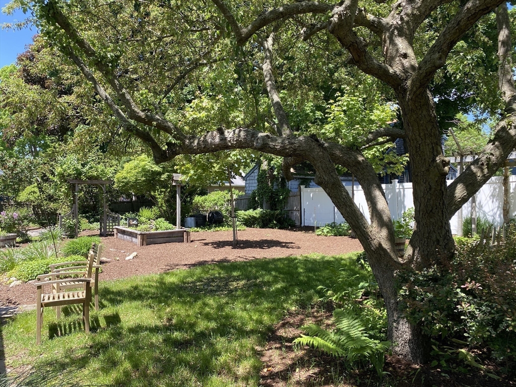 17 Jane Street Randolph, MA 02368 - Photo 14 of 18