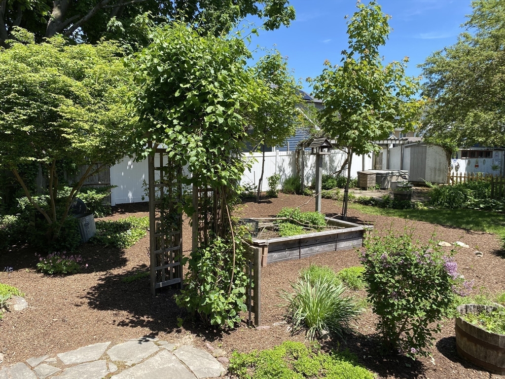 17 Jane Street Randolph, MA 02368 - Photo 15 of 18 a view of a garden with potted plants and large trees
