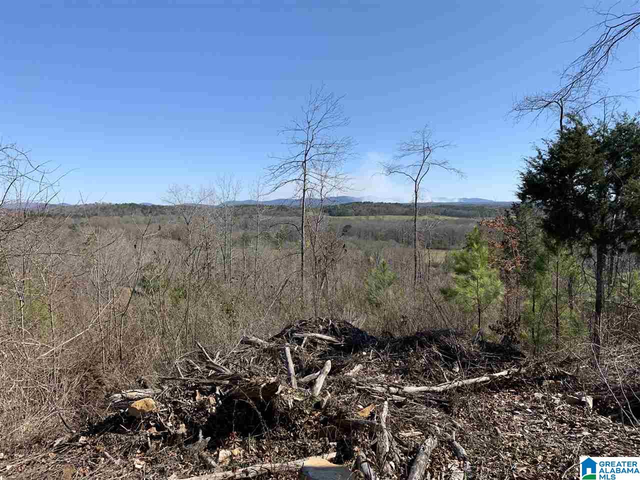 201 Barclay Road, Unit 115 AC Talladega, AL 35160 - Photo 21 of 30