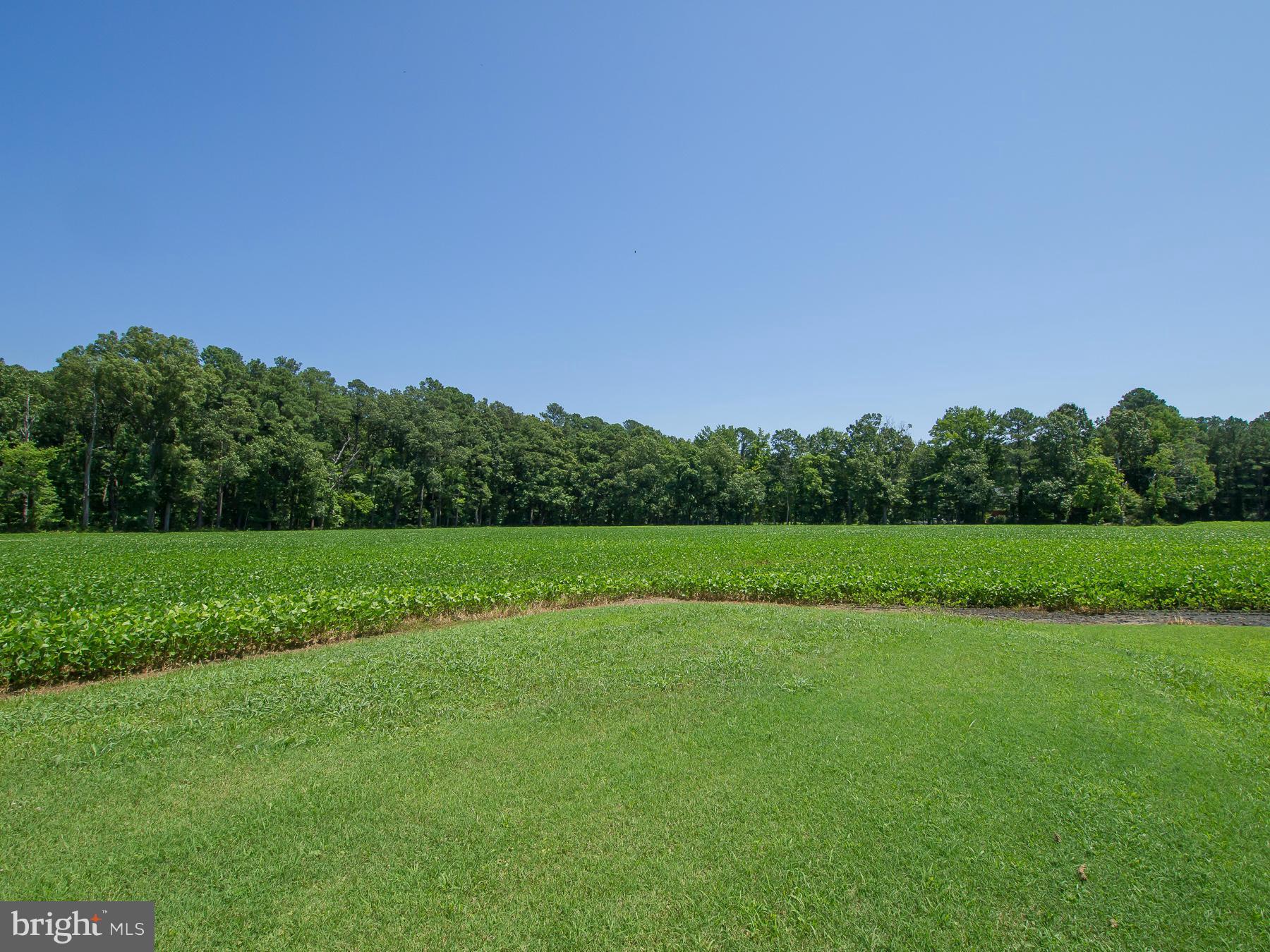 4500 Evergreen Road Oxford, MD 21654 - Photo 6 of 13 Exterior (General)