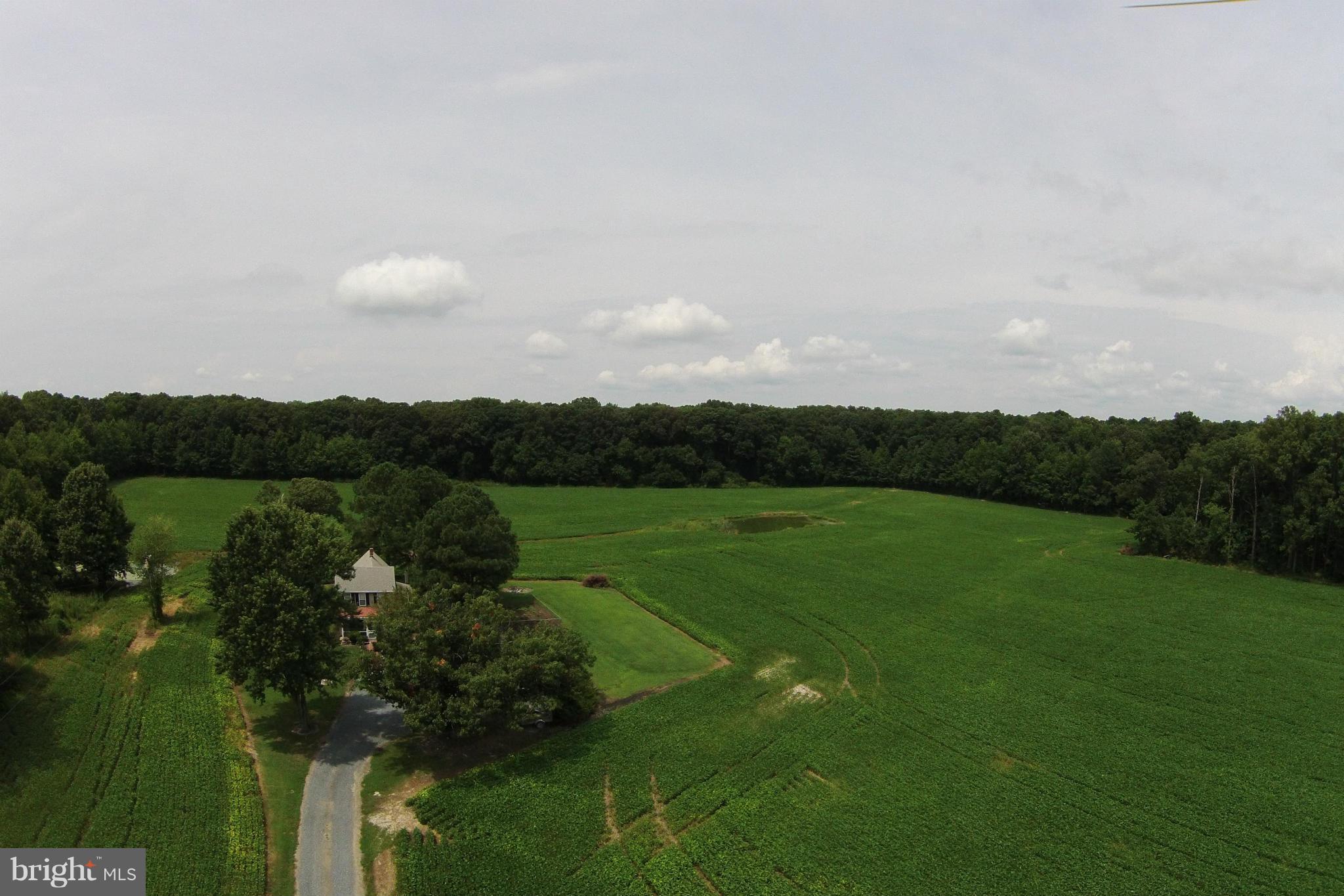 4500 Evergreen Road Oxford, MD 21654 - Photo 9 of 13 View