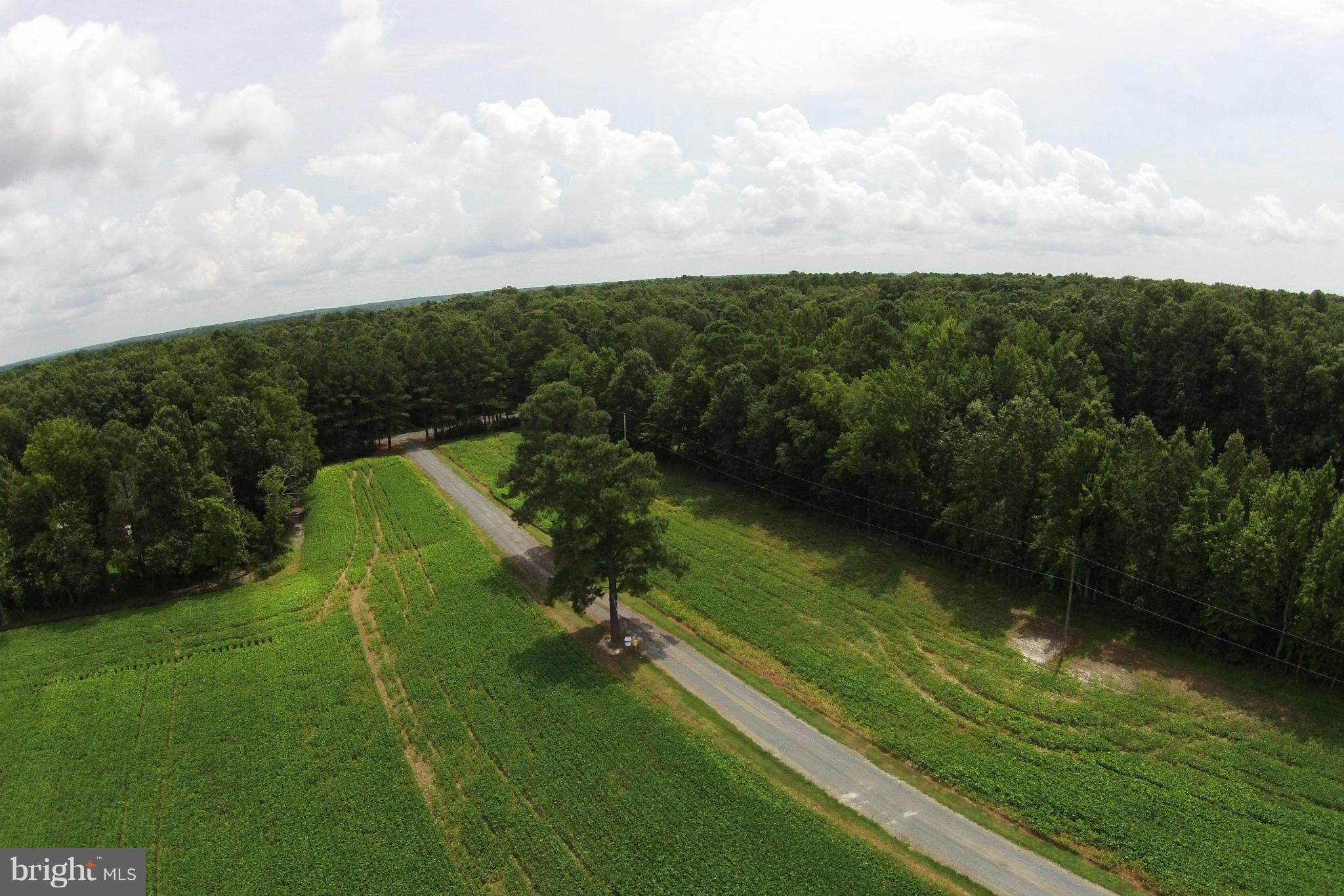 4500 Evergreen Road Oxford, MD 21654 - Photo 10 of 13 View