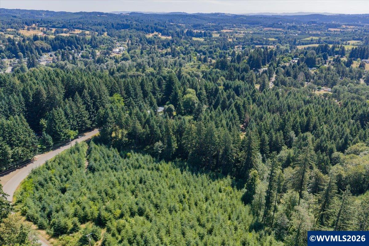 432 Chamberlain Road Falls City, OR 97344 - Photo 9 of 26