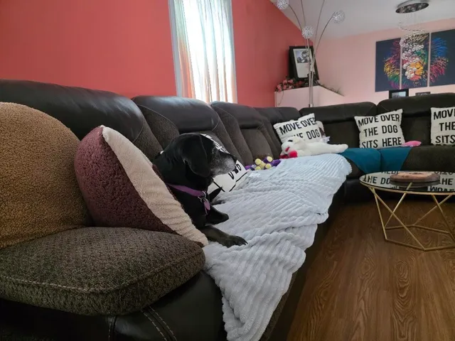 $525,000 | 92 Waning Road, Unity, ME 04988