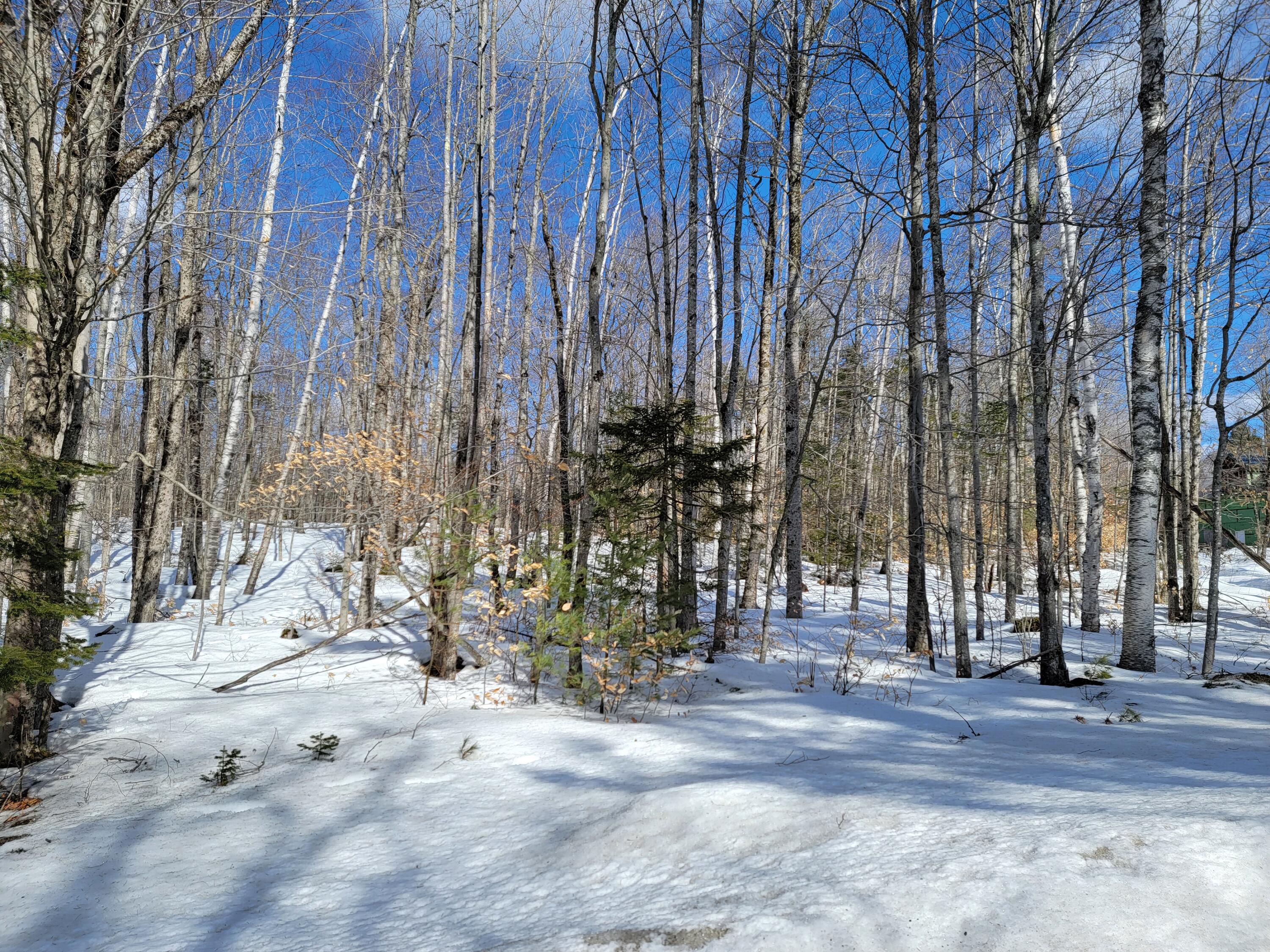 M3-l8b Roxbury Notch Road Roxbury, ME 04275 - Photo 24 of 38 Roxbury Notch Lot 8B