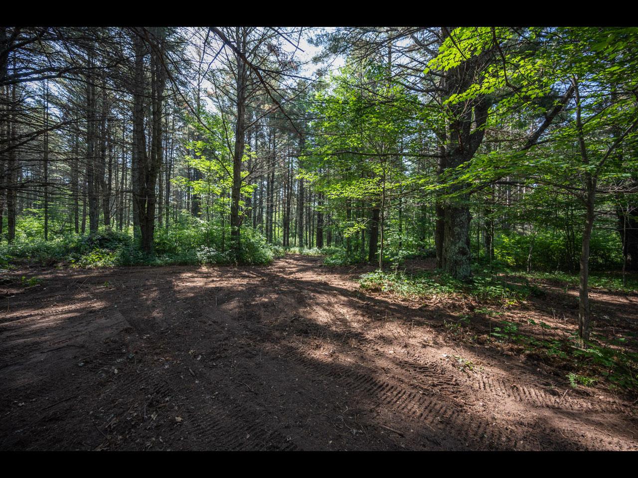Lot #90 Camp St. George Road Eagle River, WI 54521 - Photo 6 of 16 Gallery Image 6