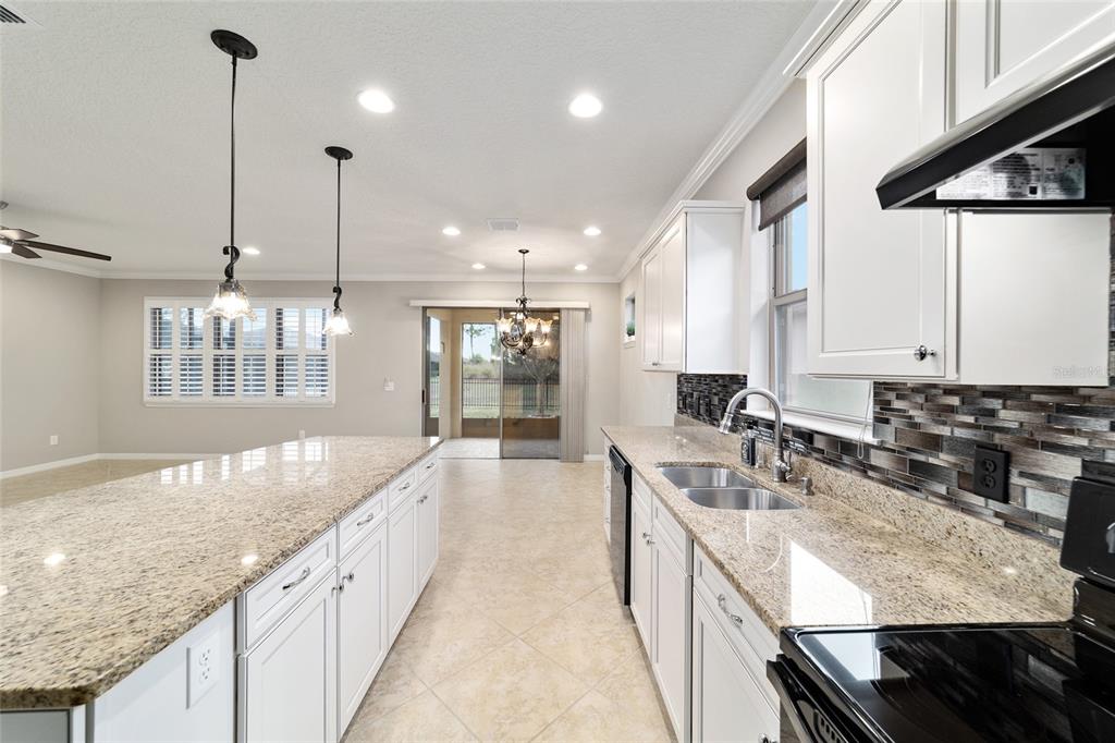 10002 Southwest 77th Loop Ocala, FL 34481 - Photo 29 of 79