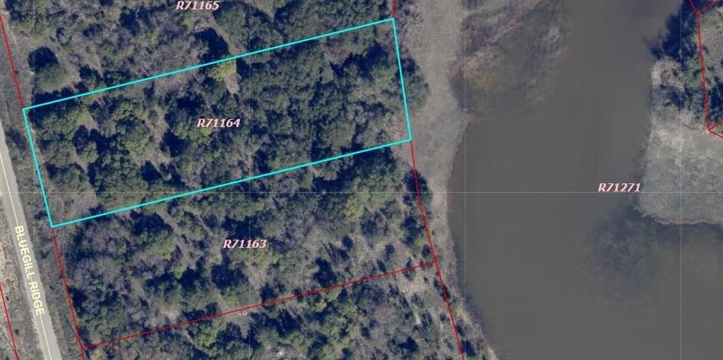 1015 Bluegill Ridge Bluff Dale, TX 76433 - Photo 4 of 19 Seasonal lake