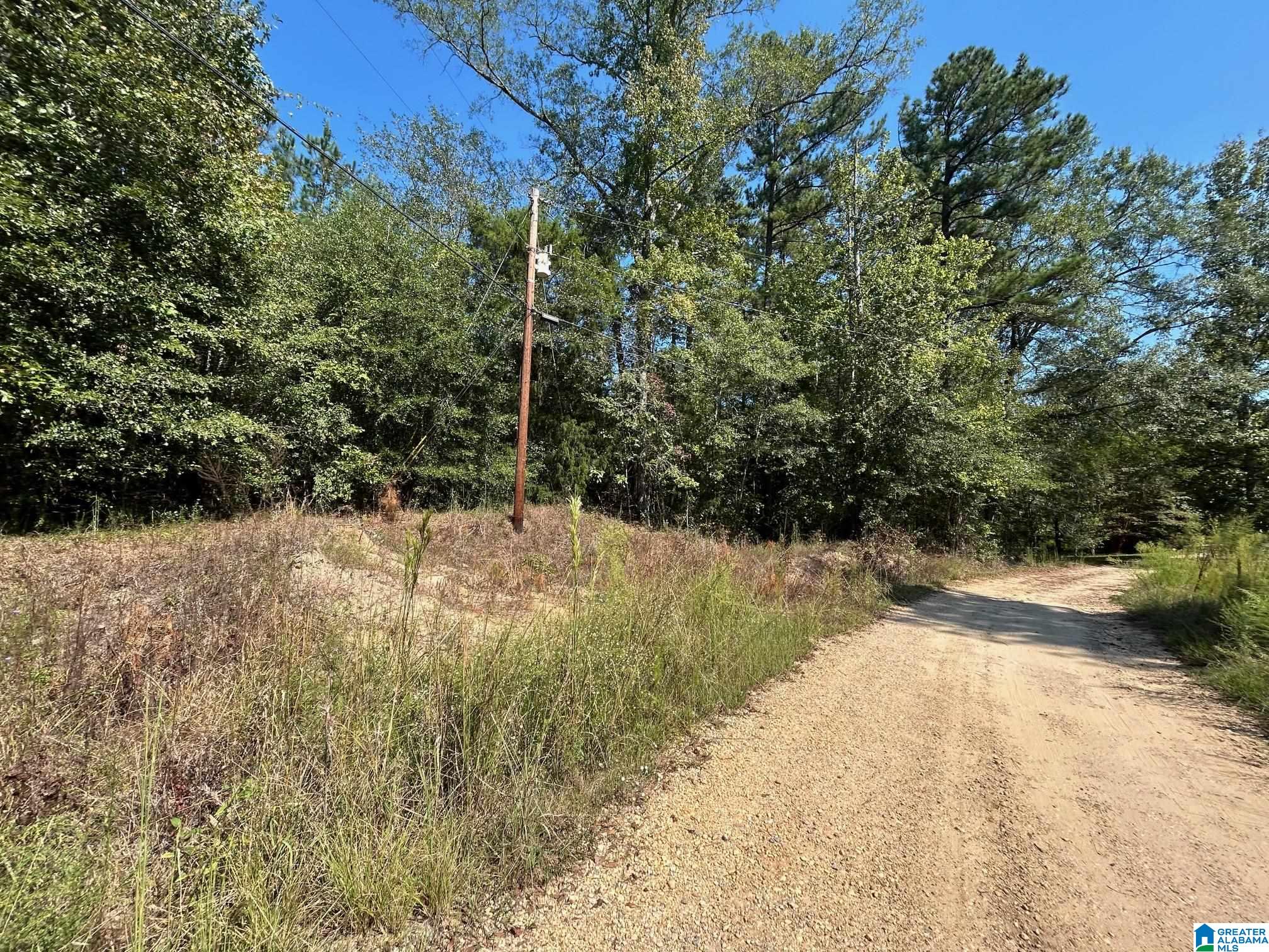 Rocky View Road West Blocton, AL 35184 - Photo 5 of 7