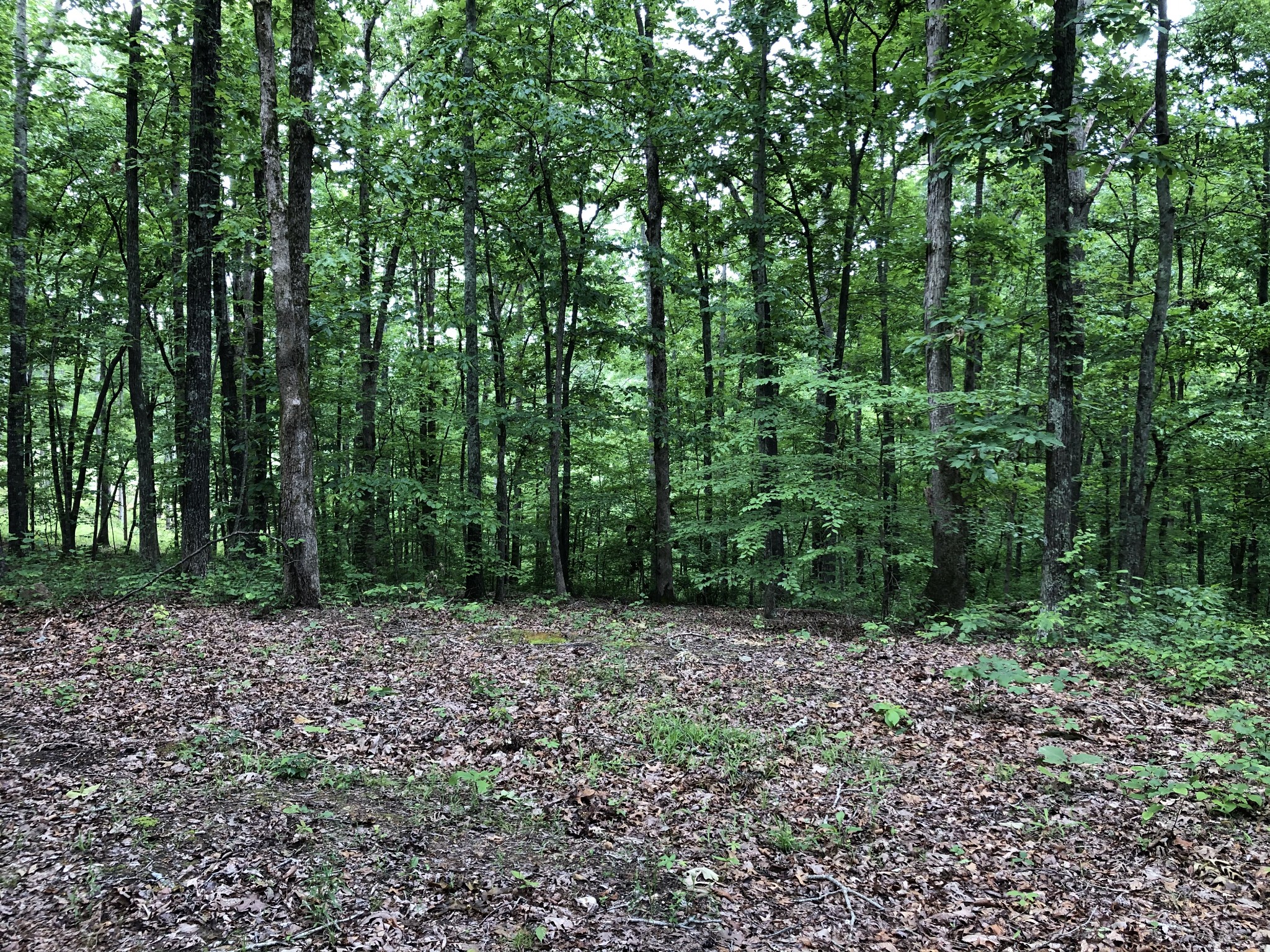 0 Powell Sullivan Road Franklin, TN 37064 - Photo 10 of 17 Gallery Image 10