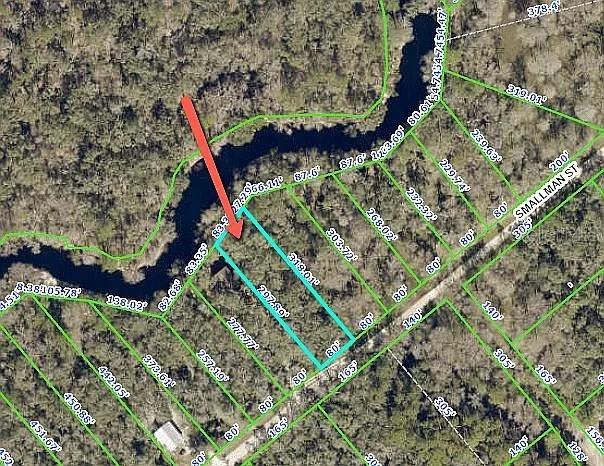 0 Smallman Street Webster, FL 33597 - Photo 1 of 1 a view of an outdoor space