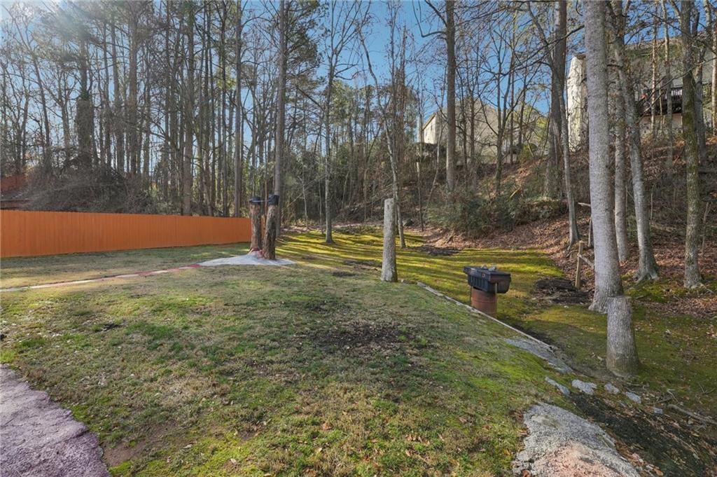 111 Bainbridge Court Dallas, GA 30132 - Photo 28 of 37 a view of outdoor space