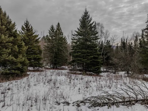 $168,000 | 0 Jefferson Road, Unit TAX MAP 225 LOT 3, Whitefield, NH 03598