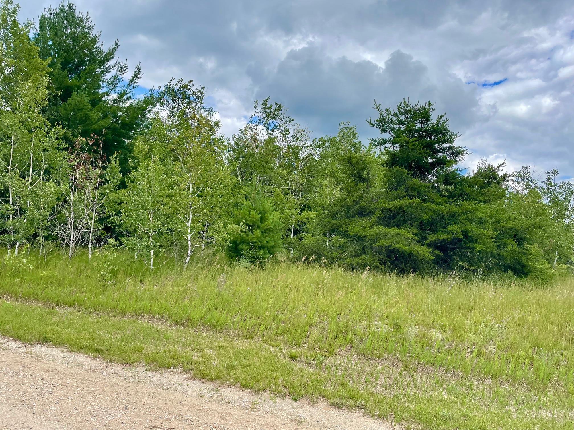 969-987 Quail Road Southwest Kalkaska, MI 49646 - Photo 6 of 14