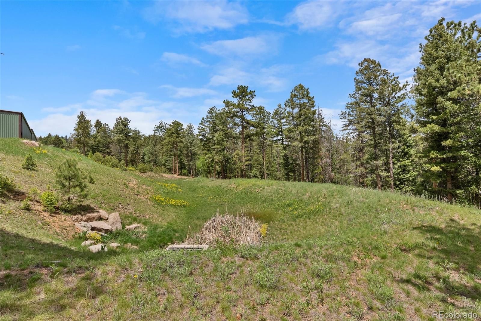 11040 Kitty Drive Conifer, CO 80433 - Photo 4 of 14 a view of a field with large trees