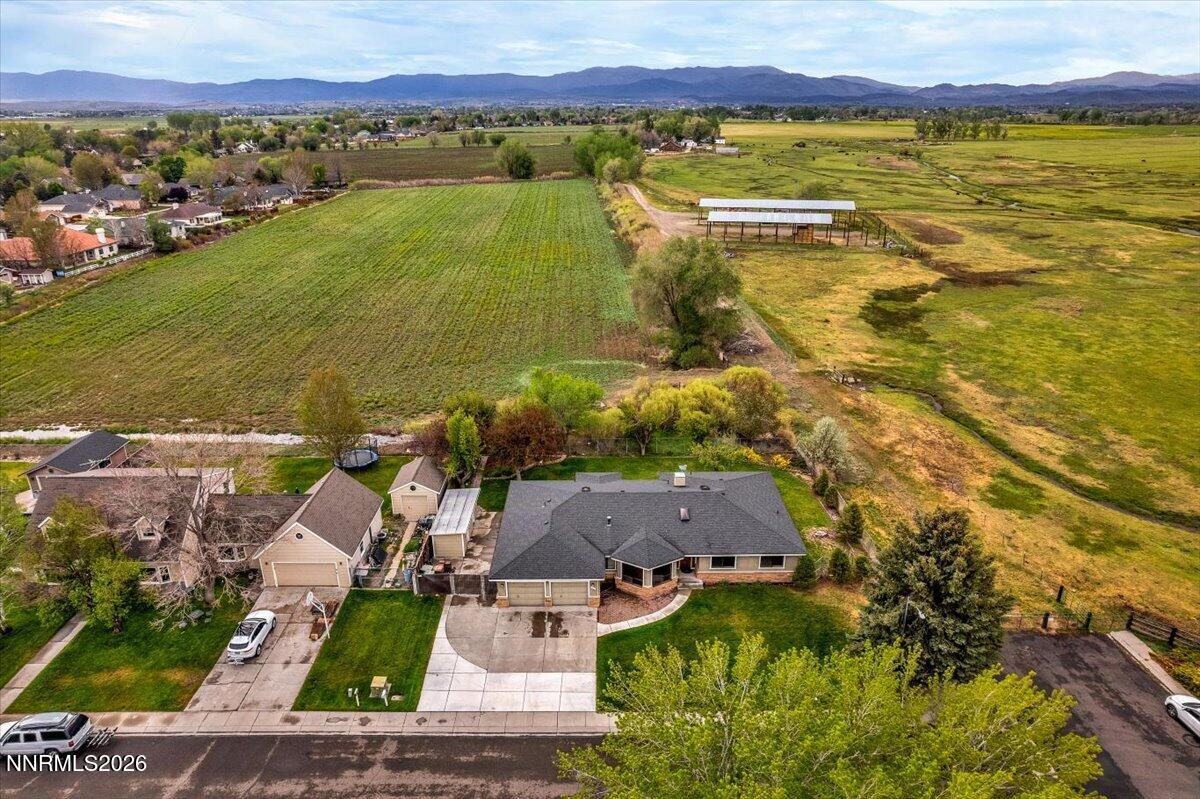 1607 Olua Street Minden, NV 89423 - Photo 4 of 75 04-DJI_0405