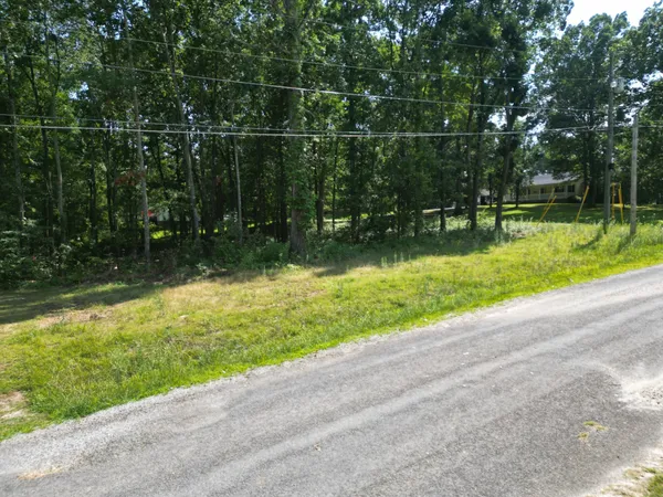 a view of outdoor space with trees