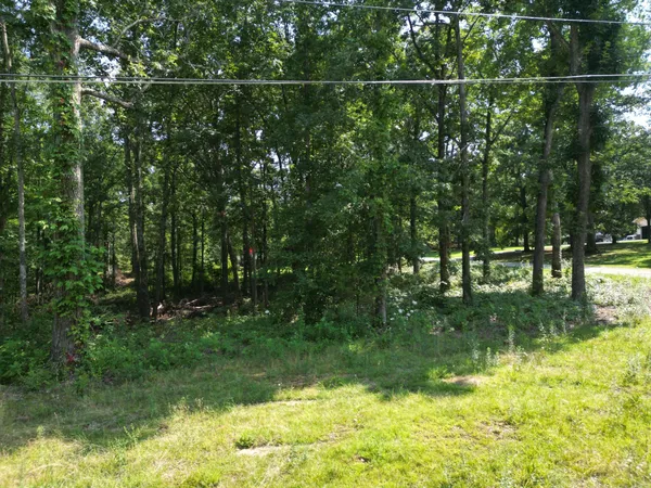 a view of backyard with green space