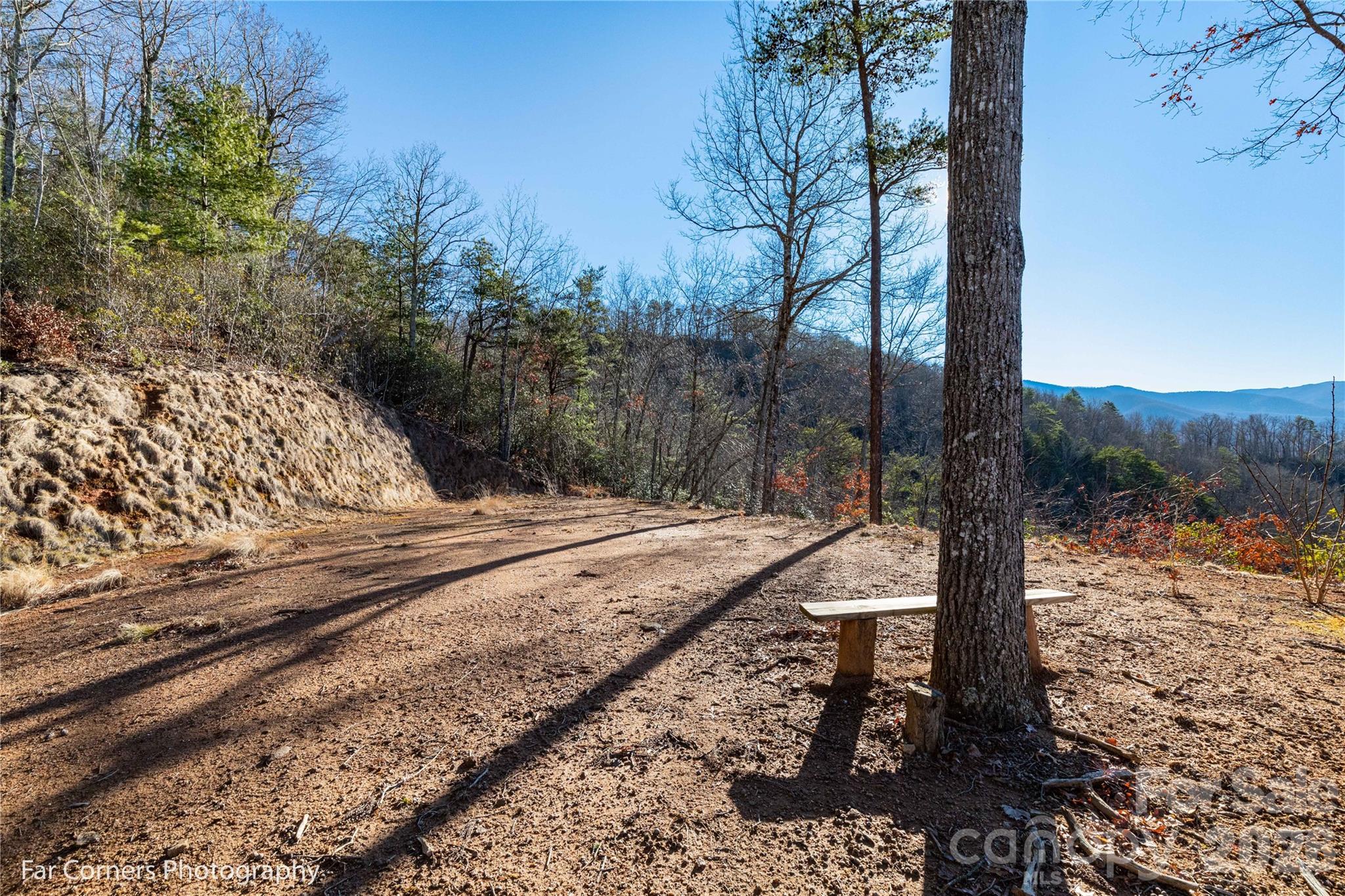 9999 Sourwood Road Canton, NC 28716 - Photo 11 of 33 a view of a yard with mountain view