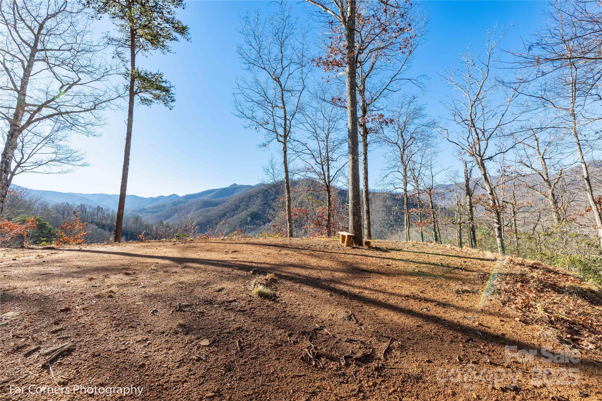 9999 Sourwood Road Canton, NC 28716 - Photo 12 of 33 a view of dirt yard with a large tree