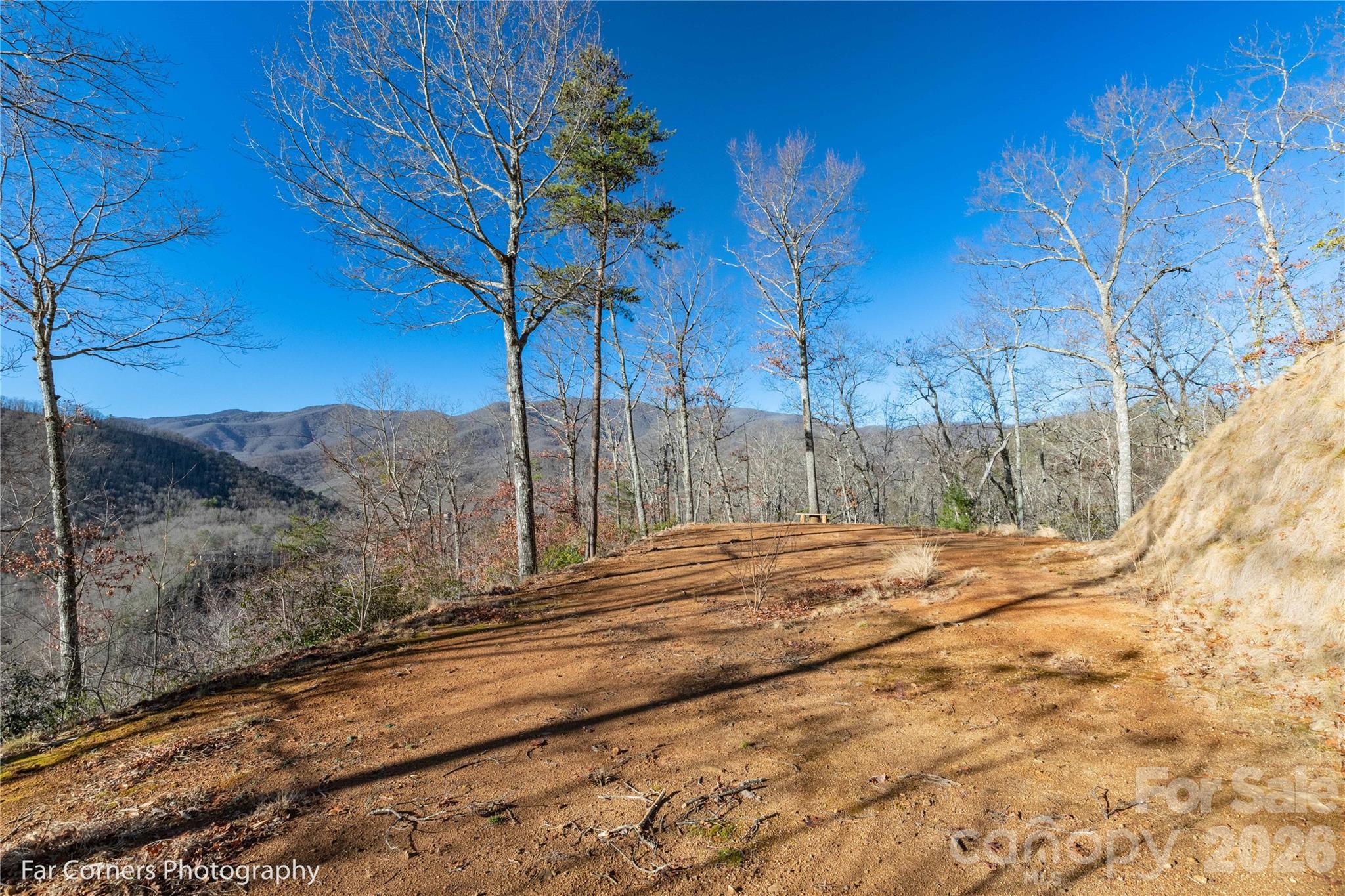 9999 Sourwood Road Canton, NC 28716 - Photo 14 of 33 a view of a backyard of a house