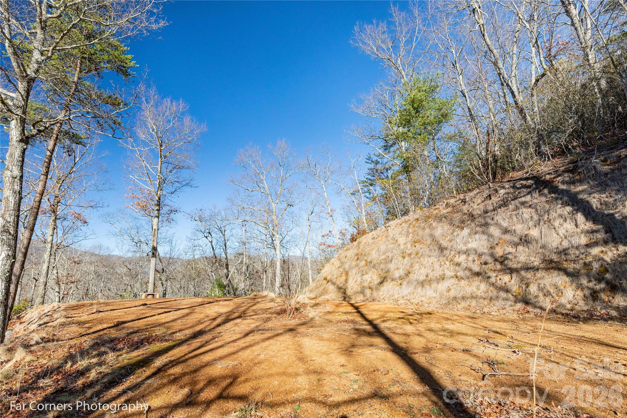 9999 Sourwood Road Canton, NC 28716 - Photo 15 of 33 a view of a backyard of the house
