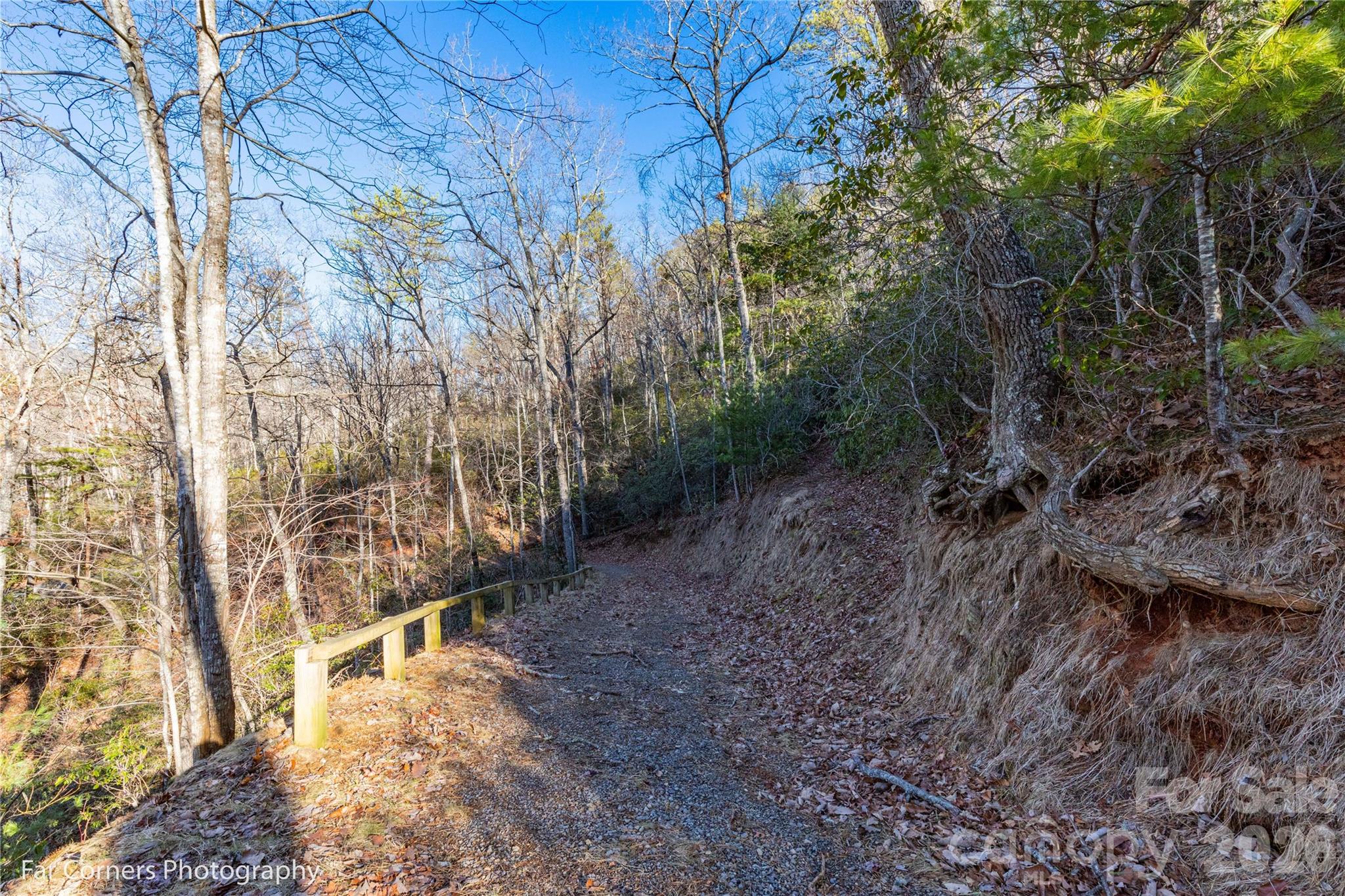 9999 Sourwood Road Canton, NC 28716 - Photo 17 of 33 a view of a yard with lots of trees