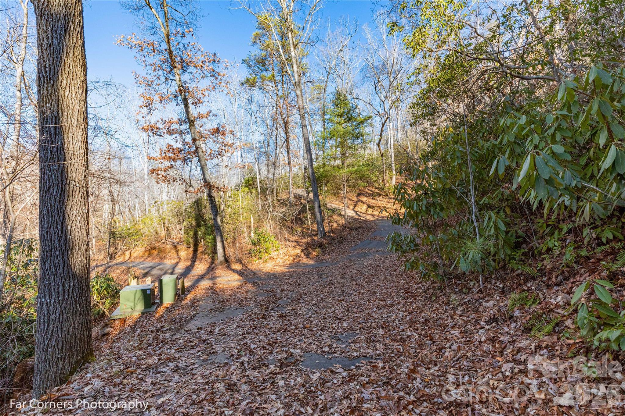 9999 Sourwood Road Canton, NC 28716 - Photo 18 of 33 a view of a yard with plants and trees