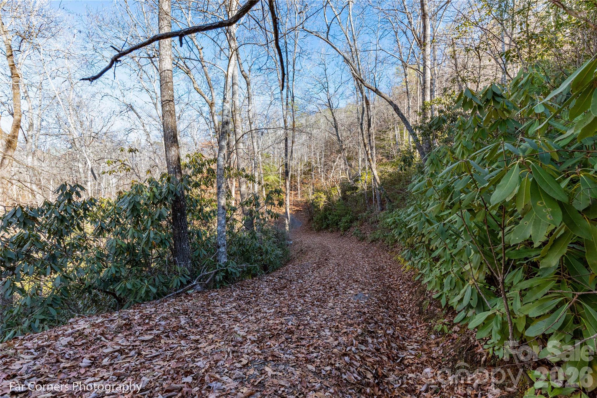 9999 Sourwood Road Canton, NC 28716 - Photo 19 of 33 a backyard of a house with lots of green space