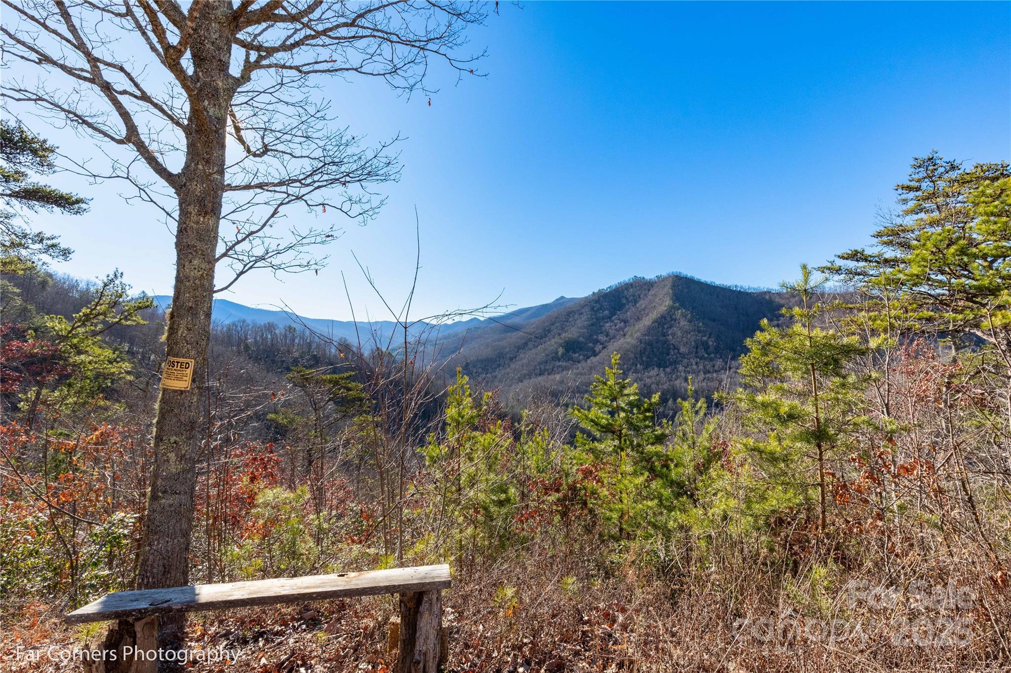 9999 Sourwood Road Canton, NC 28716 - Photo 20 of 33 a view of a wooden wall and a large tree