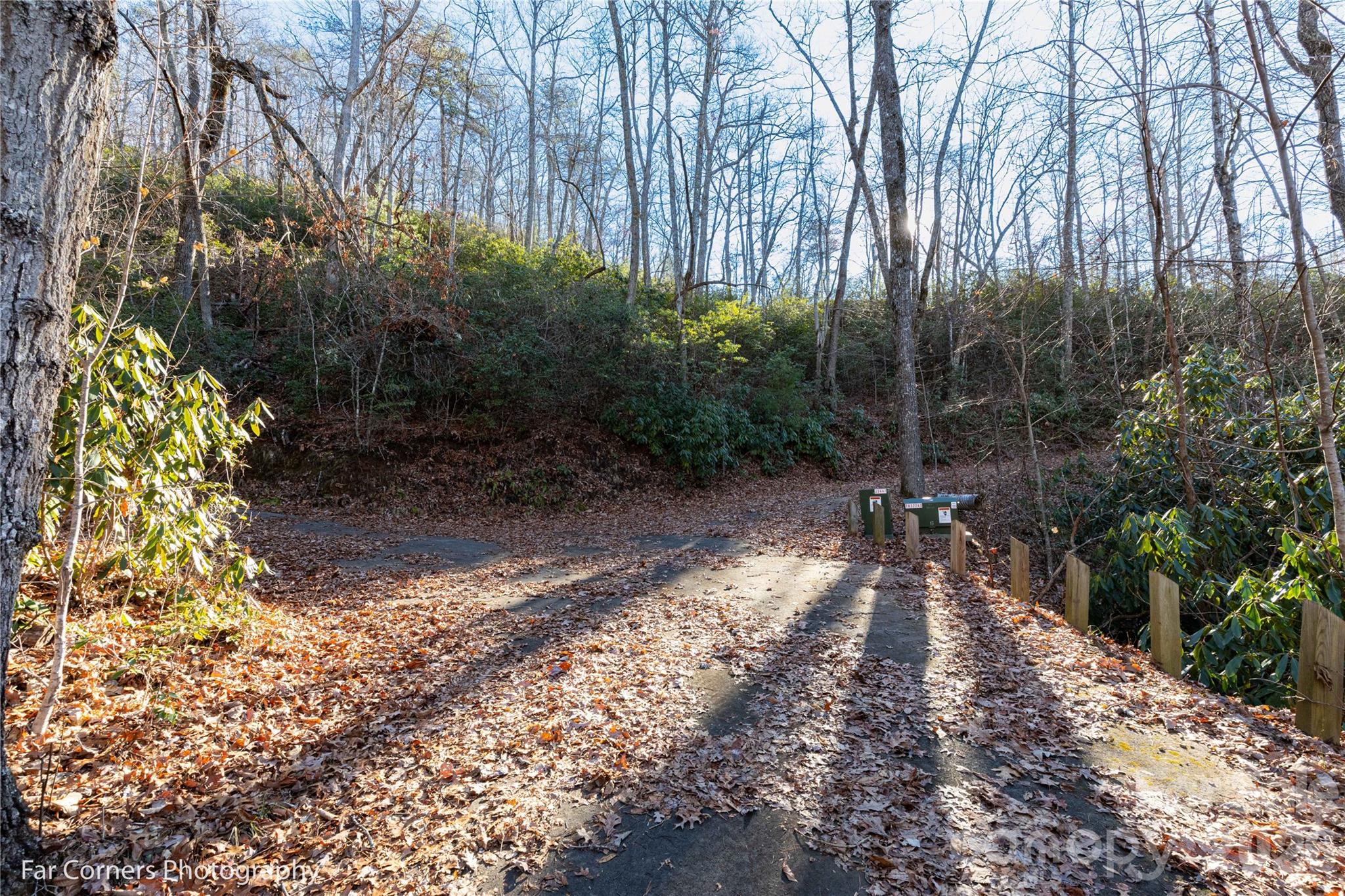 9999 Sourwood Road Canton, NC 28716 - Photo 20 of 33 a view of a yard with plants and trees