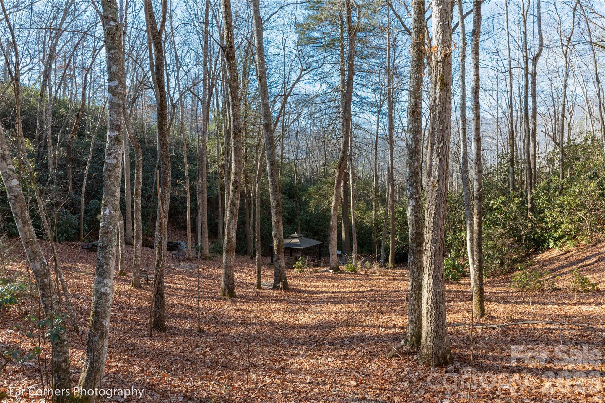 9999 Sourwood Road Canton, NC 28716 - Photo 22 of 33 a backyard of a house with lots of tall trees