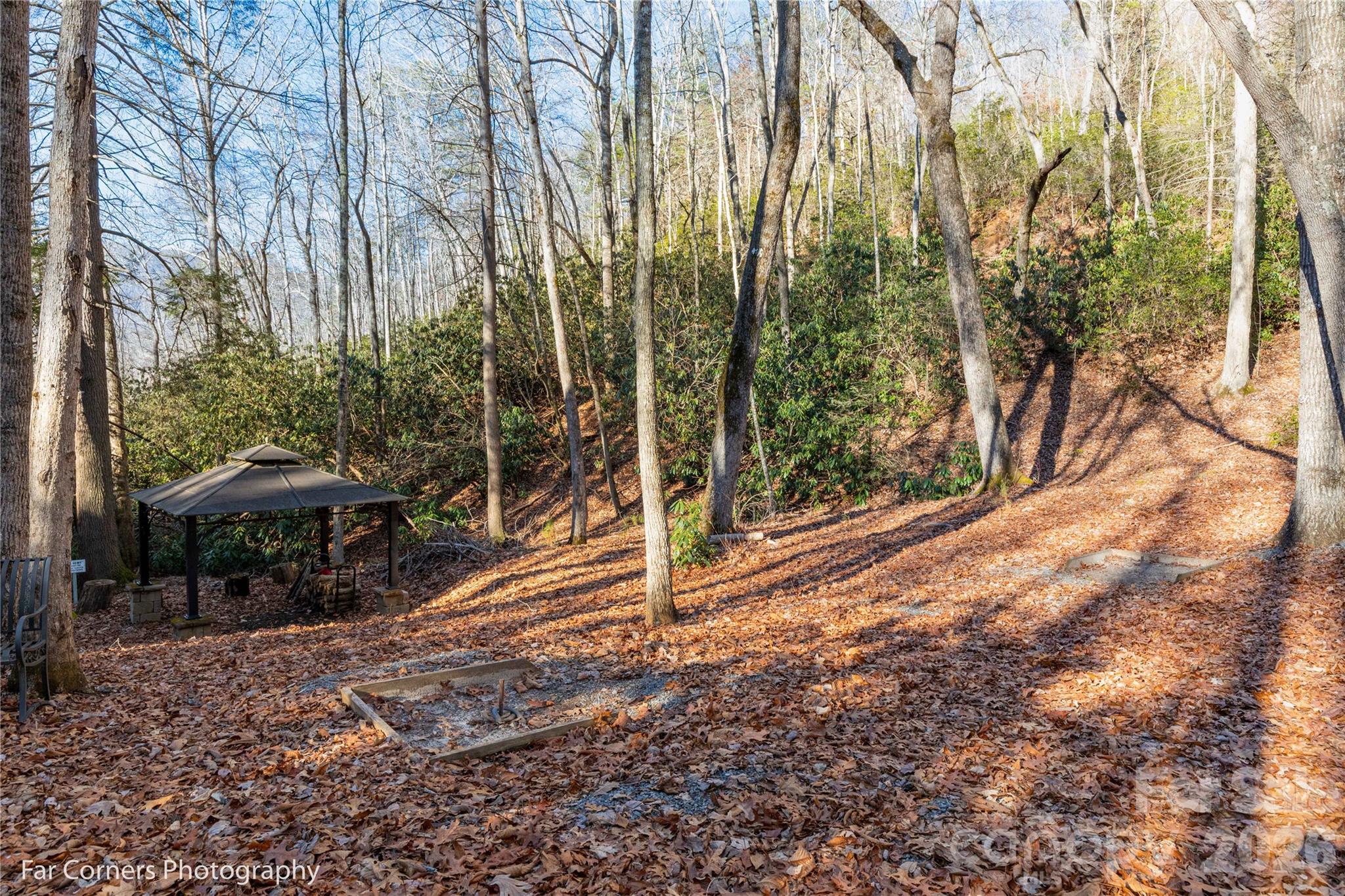 9999 Sourwood Road Canton, NC 28716 - Photo 23 of 33 a view of a park with large trees