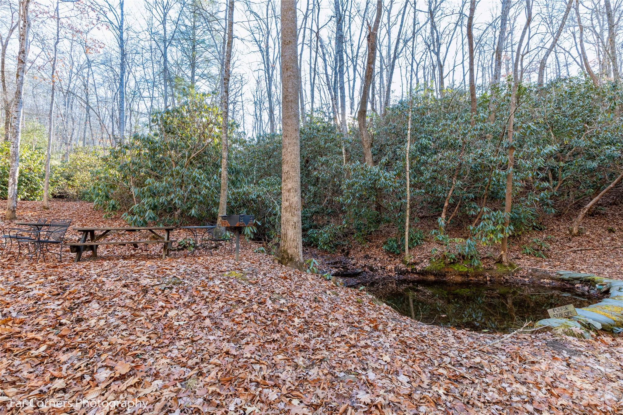 9999 Sourwood Road Canton, NC 28716 - Photo 24 of 33 a view of a forest with trees