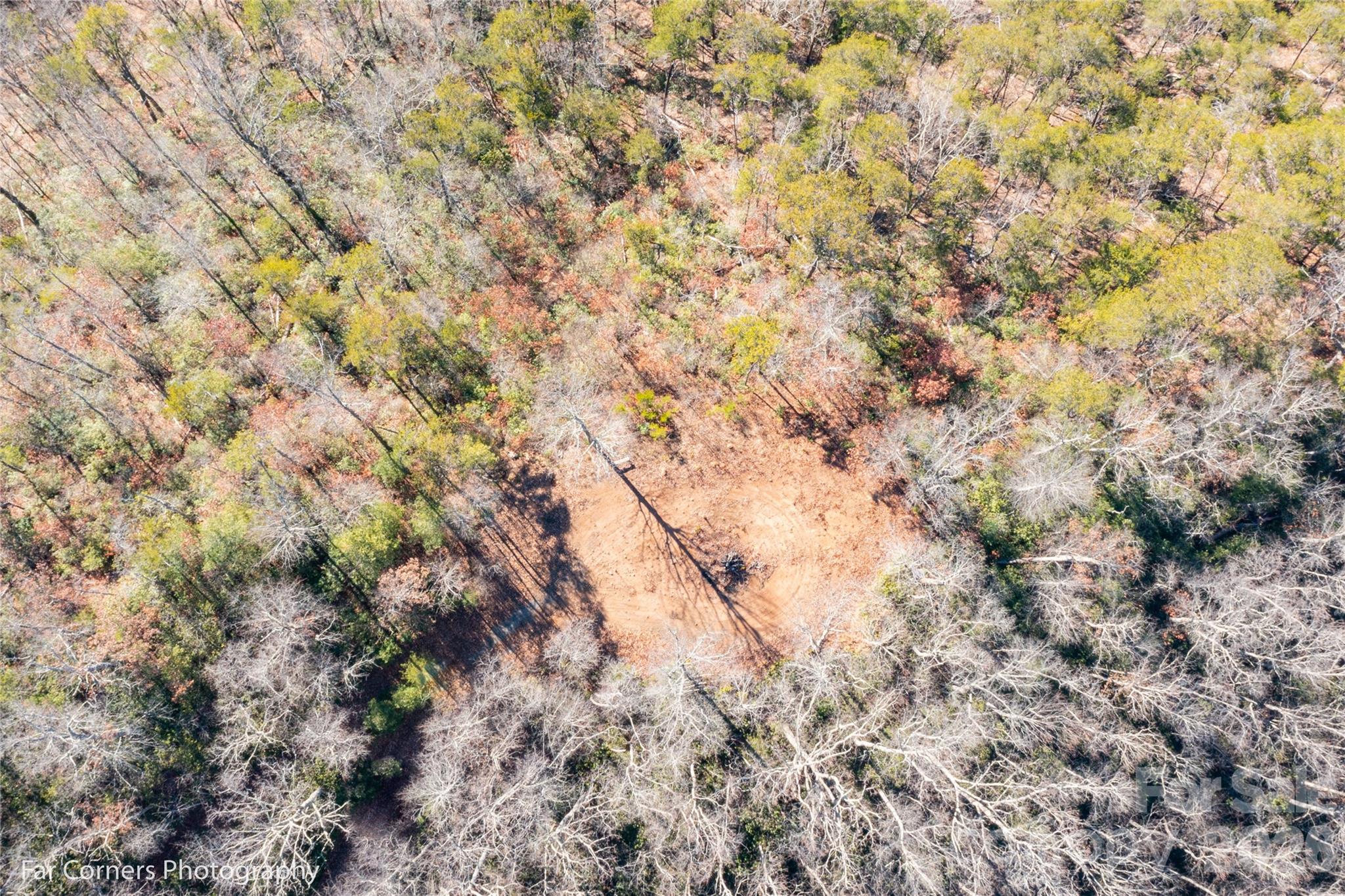 9999 Sourwood Road Canton, NC 28716 - Photo 25 of 33 a view of a yard with a tree