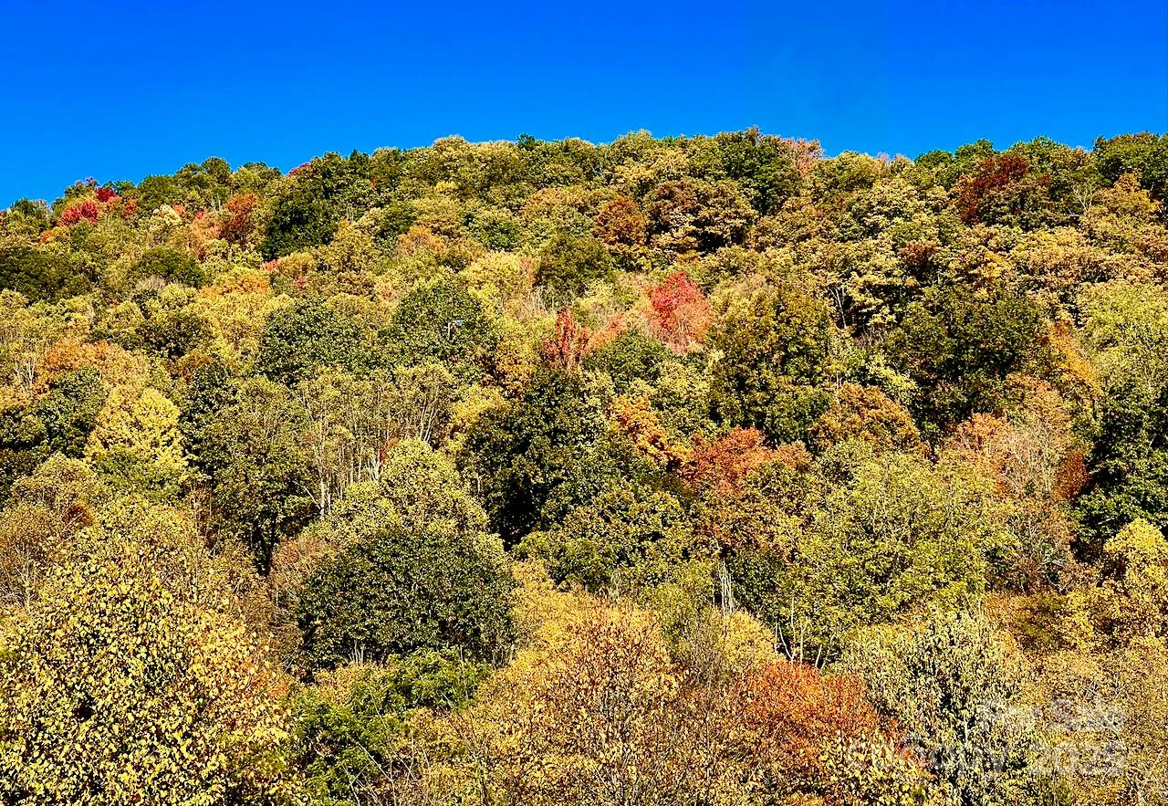 9999 Sourwood Road Canton, NC 28716 - Photo 33 of 33 a view of a large building with mountains in the background