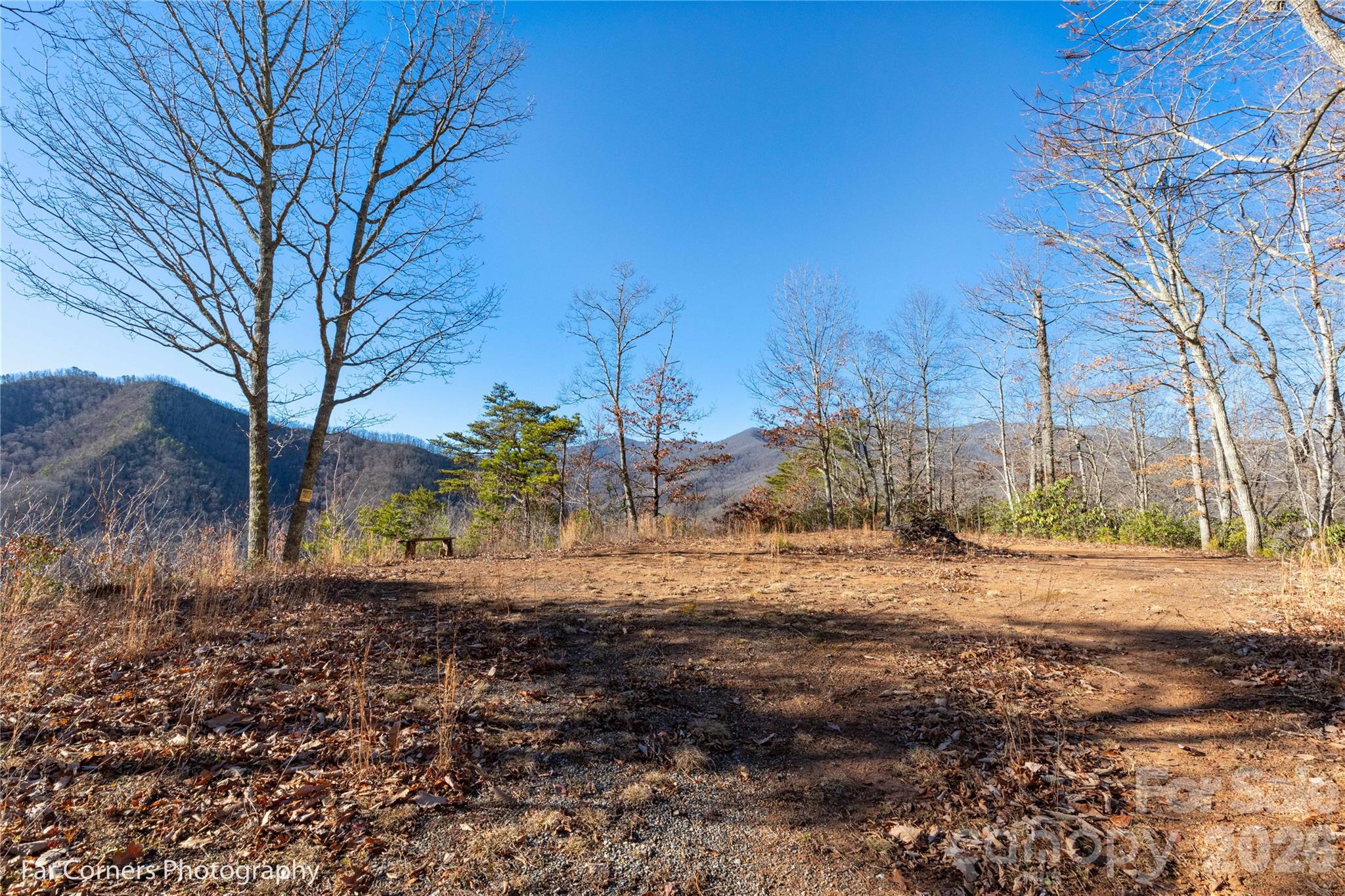 9999 Sourwood Road Canton, NC 28716 - Photo 6 of 33 a view of dirt yard with a large tree