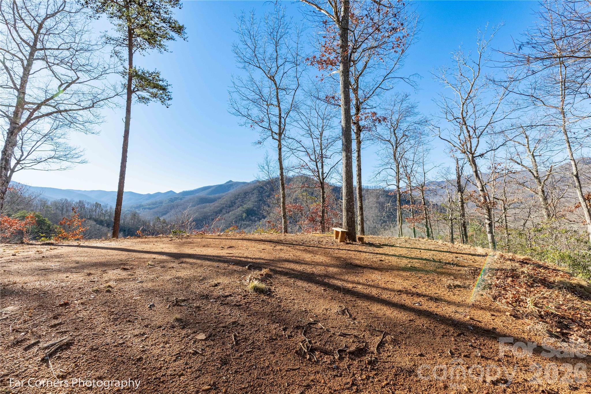 9999 Sourwood Road Canton, NC 28716 - Photo 10 of 33 a view of dirt yard with a large tree