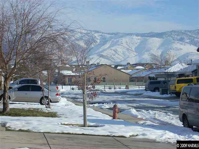 1625 Brentford Way Reno, NV 89521 - Photo 3 of 3 a view of outdoor space